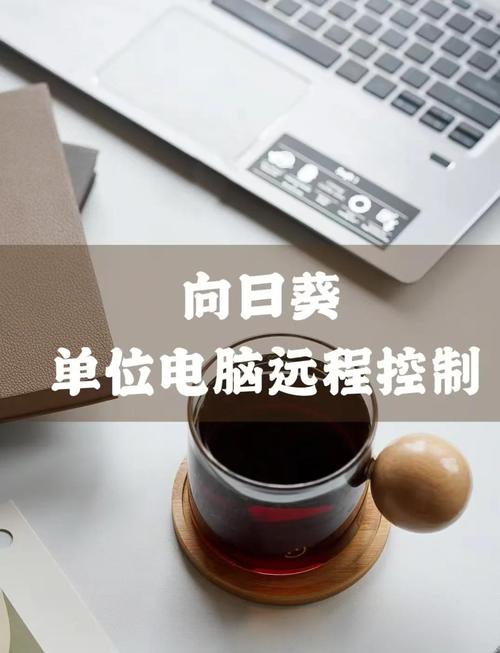 如何在电脑上远程