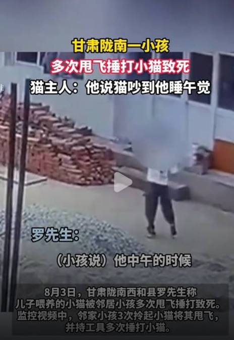小孩多次甩飞捶打小猫致死