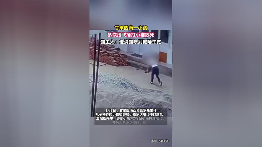 小孩多次甩飞捶打小猫致死
