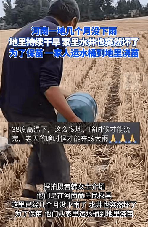 河南持续高温 农户凌晨排队浇地