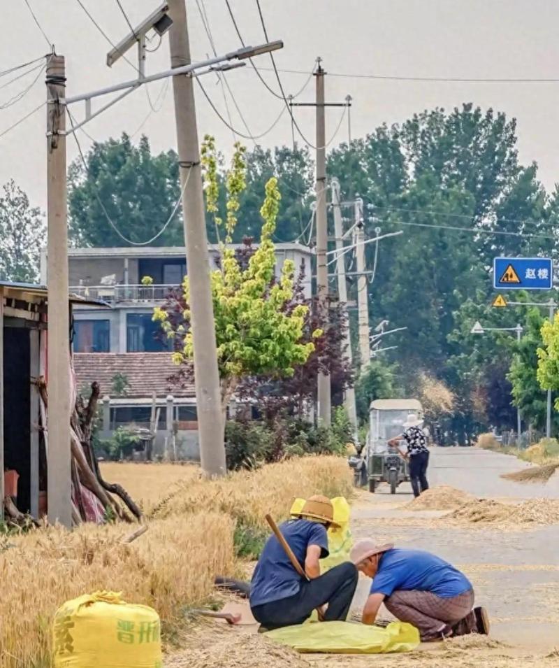 河南持续高温 农户凌晨排队浇地