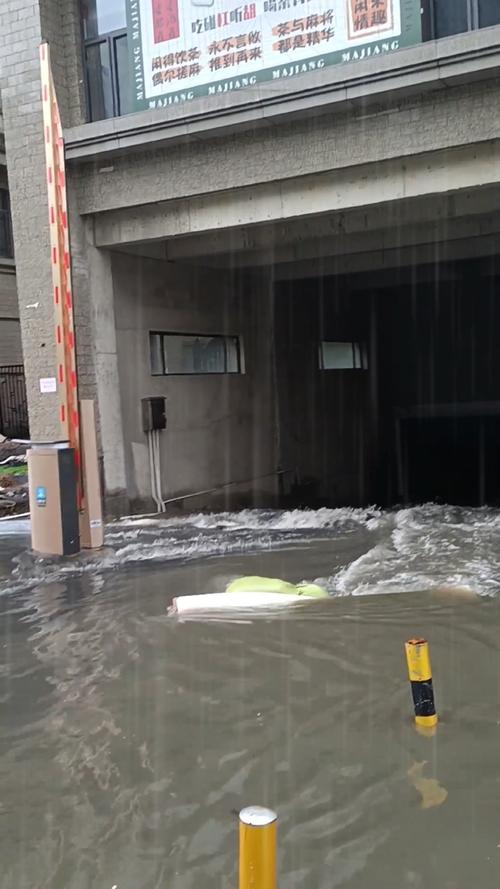 东莞一小区地下车库被积水灌满
