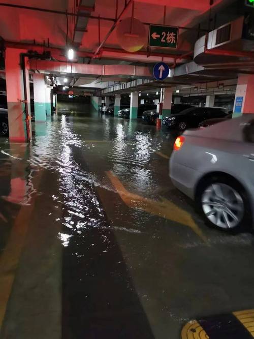 东莞一小区地下车库被积水灌满