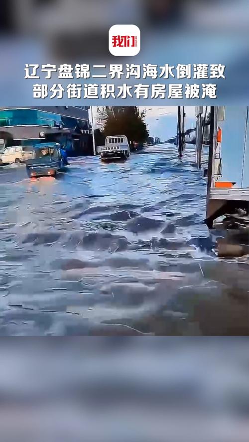 暴雨致街道被淹 眼镜蛇缠在窗户上