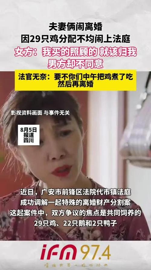 村民离婚因29只鸡怎么分闹上法庭