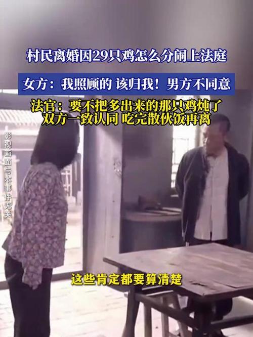 村民离婚因29只鸡怎么分闹上法庭