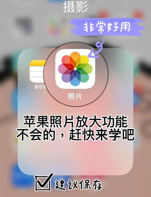 苹果7手机照片如何分类