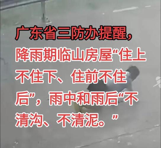 广东连日暴雨 蟑螂集体“搬家”