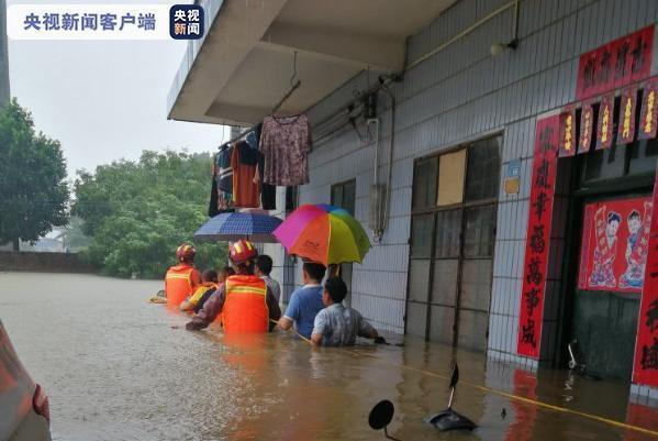 广东连日暴雨 蟑螂集体“搬家”