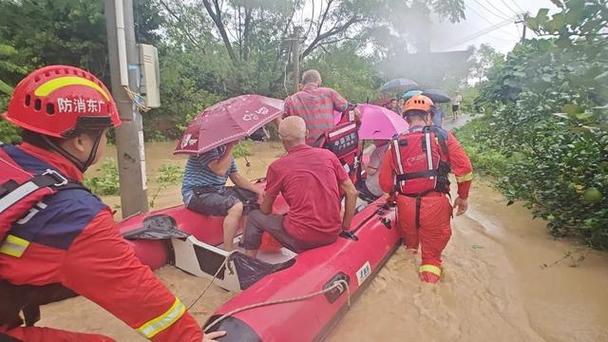 广东连日暴雨 蟑螂集体“搬家”