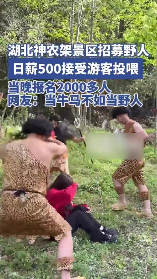 景区300元一天招大学生兼职“野人”