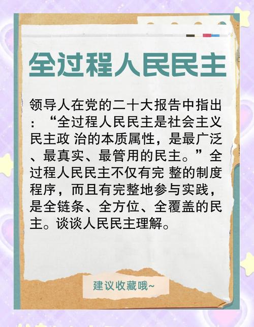 311万条建议里承载怎样的民主实践
