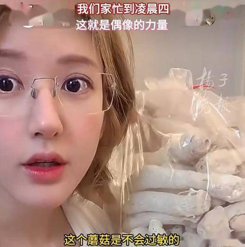 赵露思带火竹荪店 店主忙到凌晨不睡