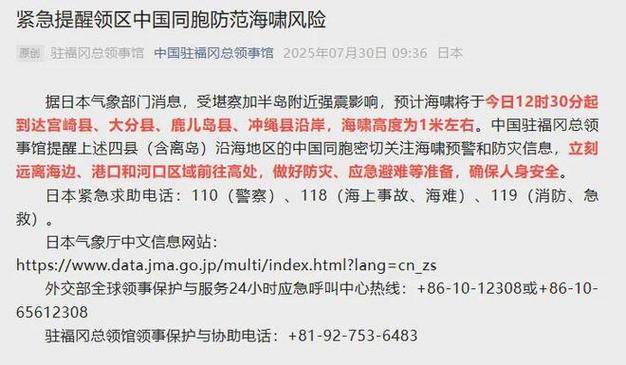 海啸来袭上海转移30万居民？假