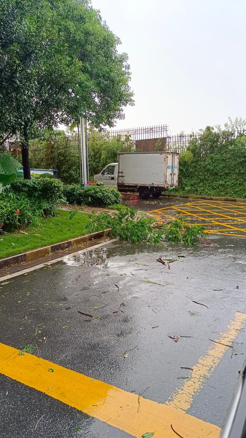 甘肃榆中县暴雨过后 路面上一片狼藉