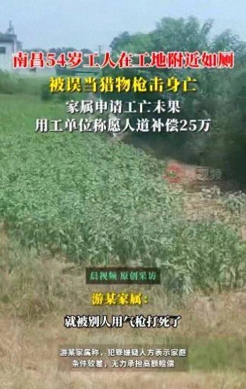 农民工如厕被气枪误杀 工友发声