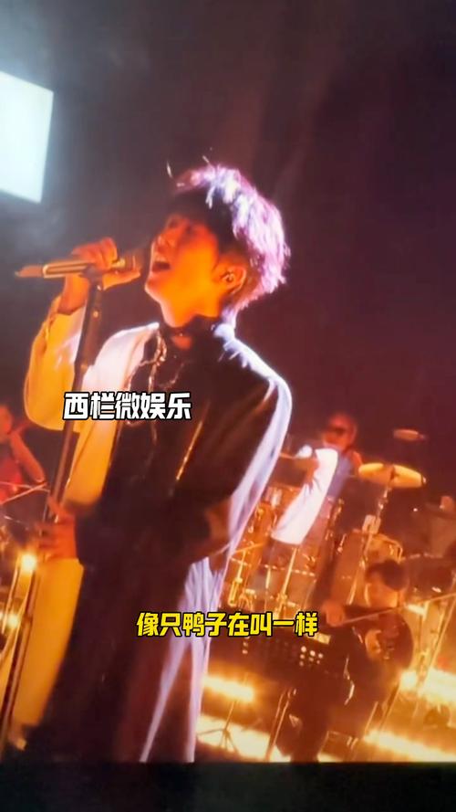 网友吐槽《歌手》有自己的耀祖