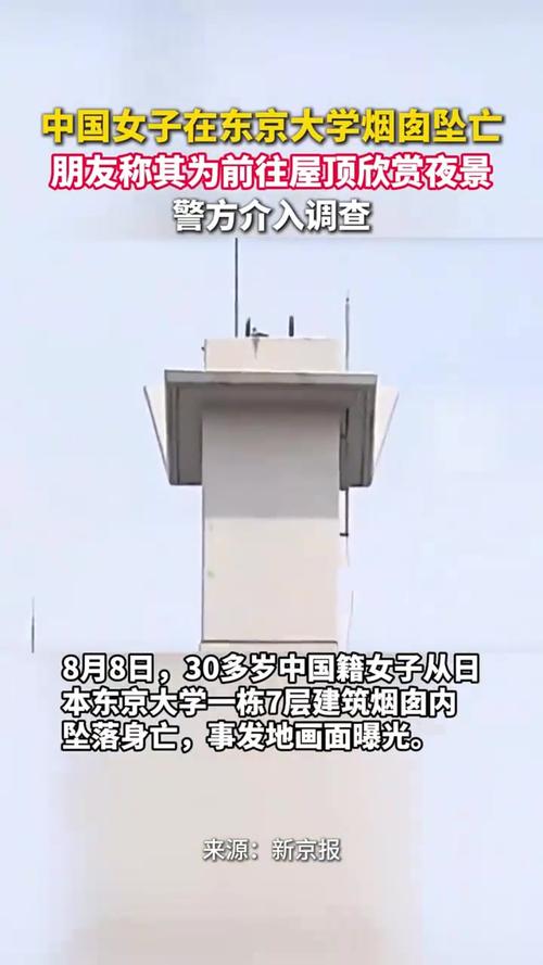 女子在东京大学烟囱坠亡 友人发声