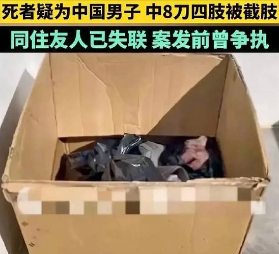 中国男子抵达柬埔寨后身亡 监控曝光