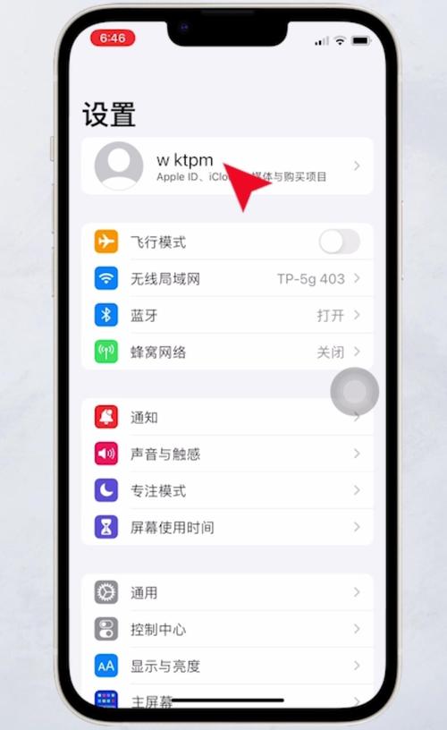 苹果手机里面如何取消自动续费
