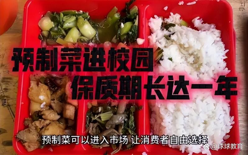卖不完的预制菜都给了中小学?假