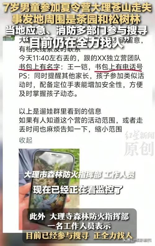 救援人员发声苍山走失男童救援细节