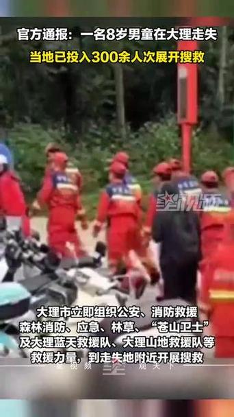 官方通报搜救大理走失8岁男童进度
