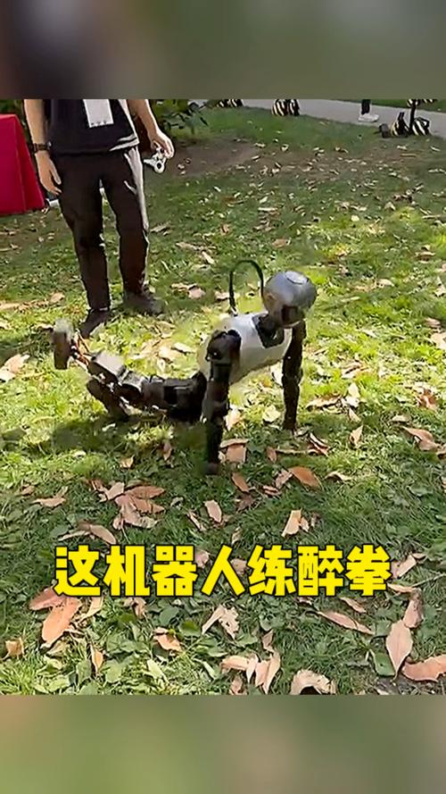 拳击机器人现场打醉拳