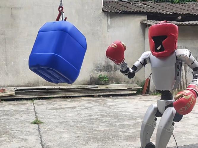 拳击机器人现场打醉拳