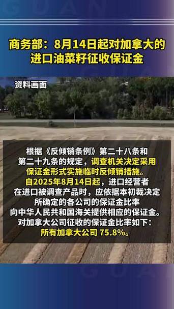 中方对加拿大进口油菜籽征收保证金