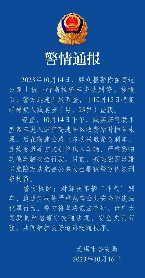 特斯拉司机持刀伤人?男子造谣被拘