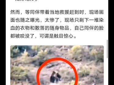 西藏林芝一村民被黑熊袭击 当地回应
