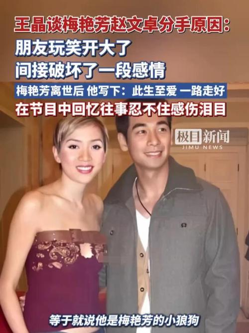 王晶谈梅艳芳赵文卓分手原因