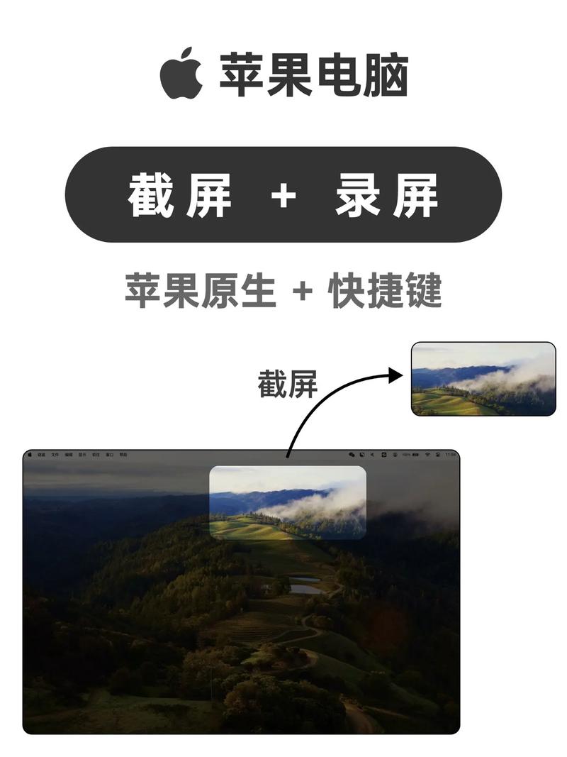 苹果电脑如何看电视