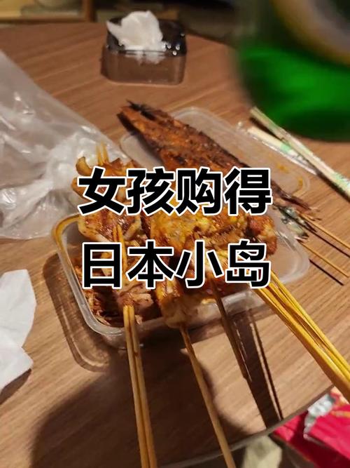 中国女子在日本买小岛:想再买一些