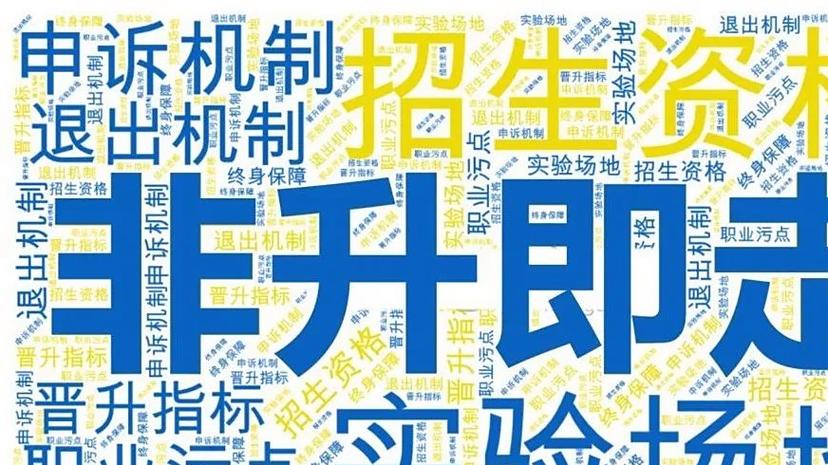 多所高校明确不实行 非升即走”