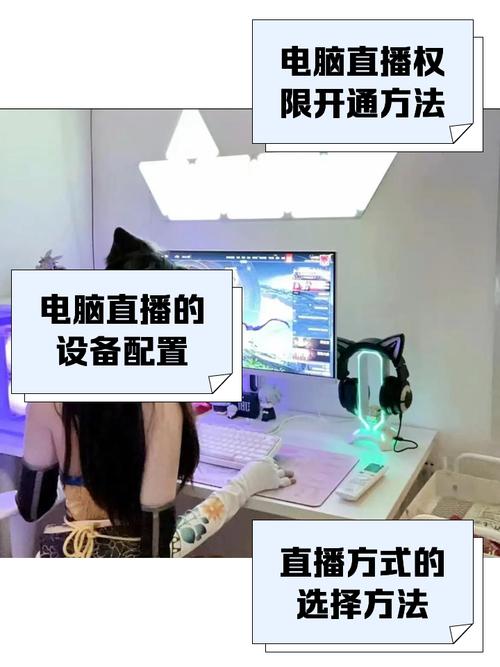 电脑上如何看直播电视