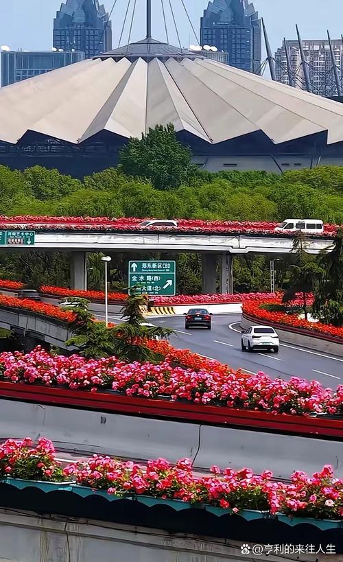 漯河“受降路”路牌前摆满鲜花