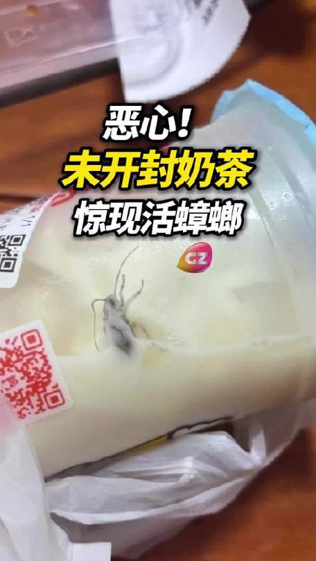 奶茶有蟑螂 蜜雪冰城被要求赔1000元