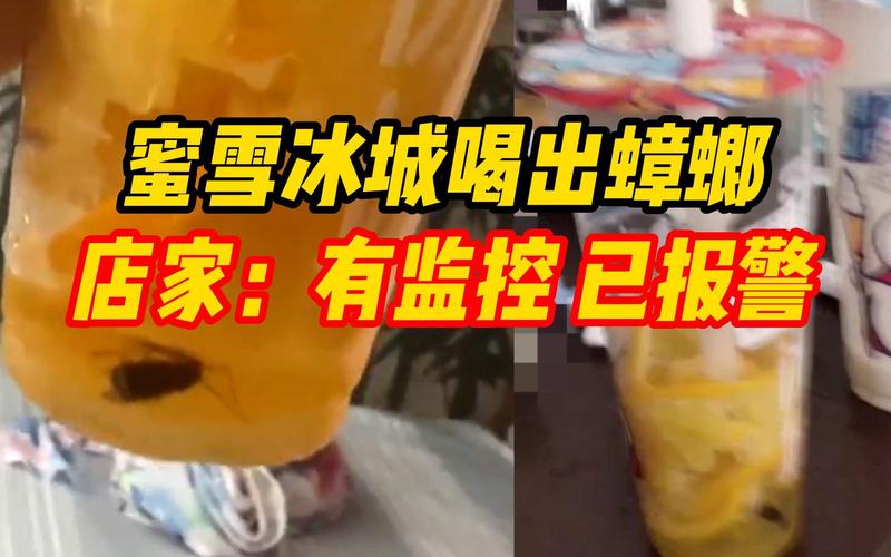 奶茶有蟑螂 蜜雪冰城被要求赔1000元