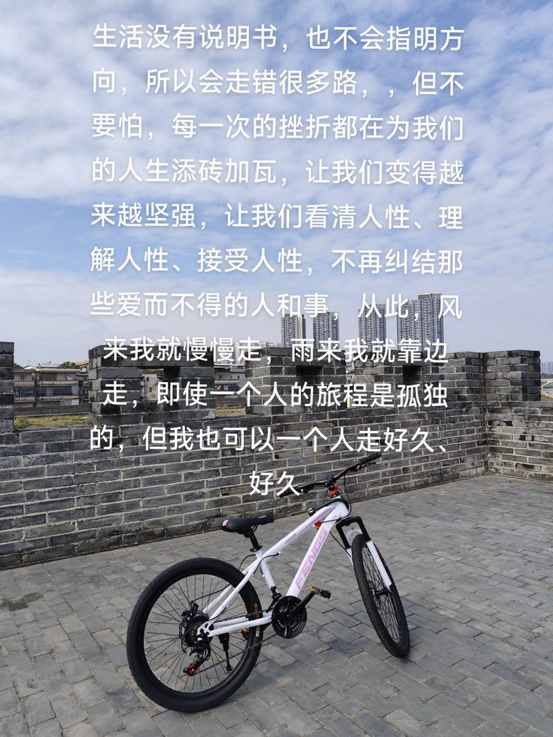 有些好笑的来时路每走一步也算数