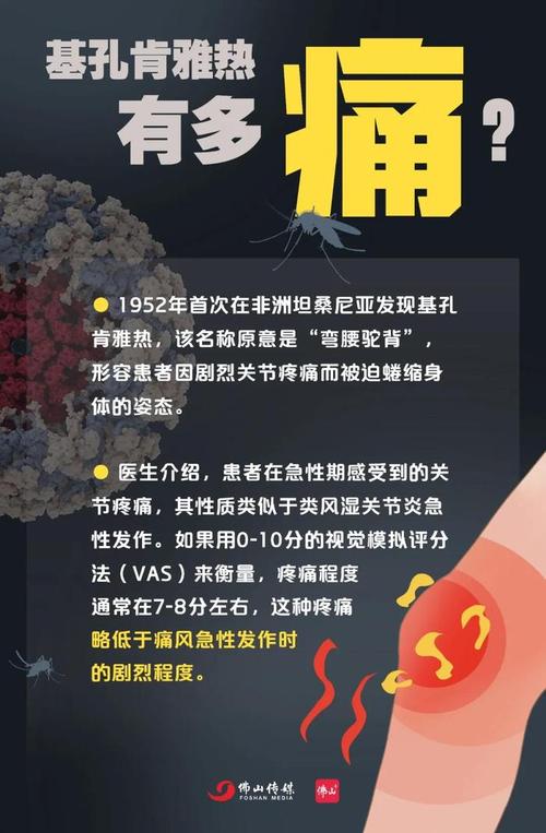 佛山市新增基孔肯雅热确诊病例52例