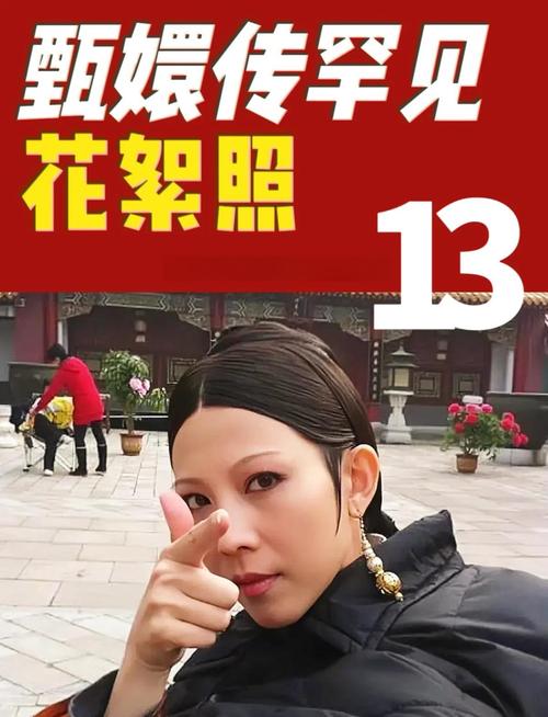 王晶谈蔡少芬演《甄嬛传》的无奈