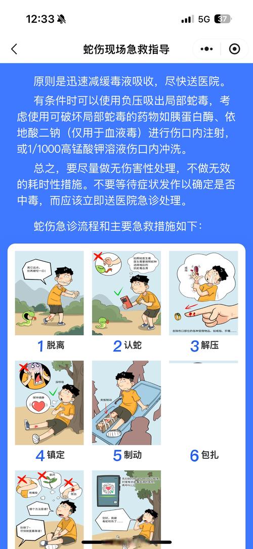 男子讲述被毒蛇咬伤拦车自救经历