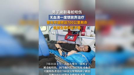 男子讲述被毒蛇咬伤拦车自救经历