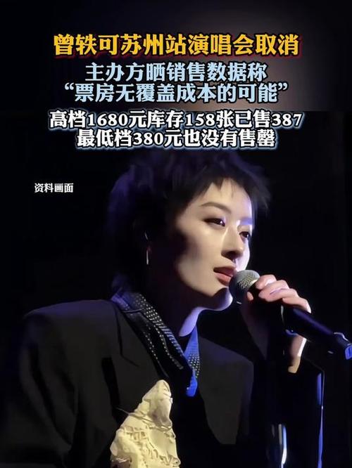 曾轶可演唱会取消 主办方:回不了本