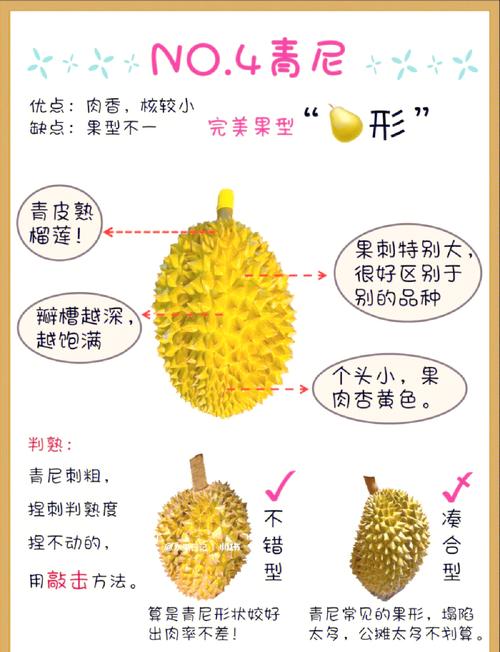 电脑英寸如何判断榴莲