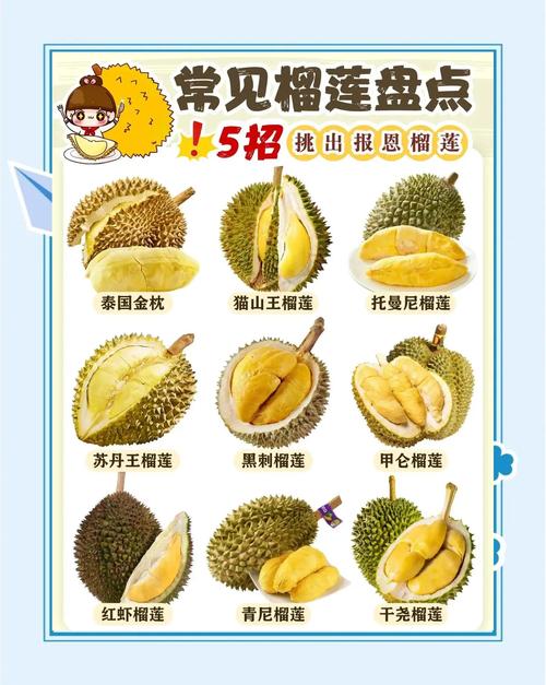 电脑英寸如何判断榴莲
