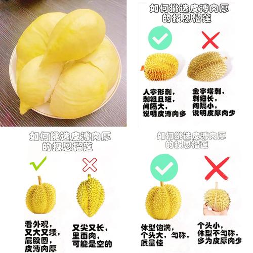 电脑英寸如何判断榴莲