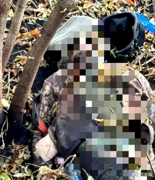 乌方称1000名阵亡士兵遗体被运回乌